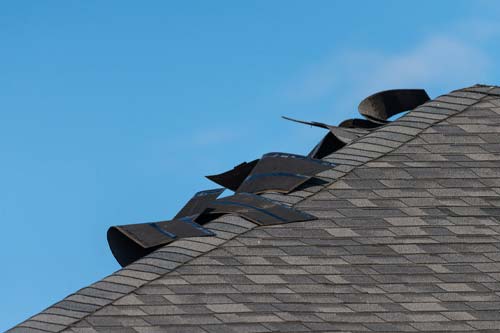 House view - front yard